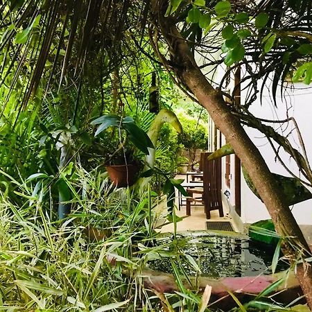 Green Jade Inn ミリッサ エクステリア 写真